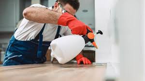 Best Pest Prevention Services  in Roseville, OH